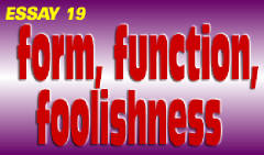 19: Form,  Function,  Foolishness