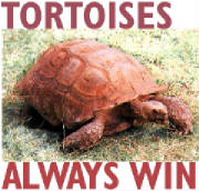 Tortoises Always Win